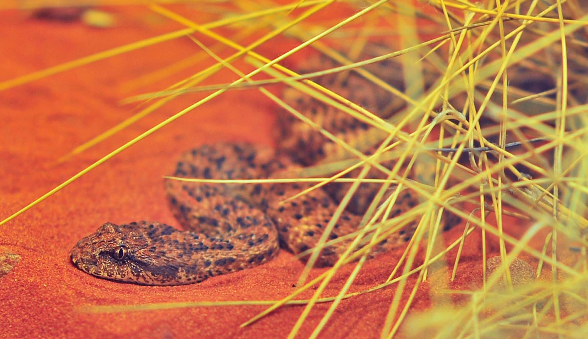 Is the Coriolis Effect Real? Why Your Toilet Isn’t Special but the Weather Is