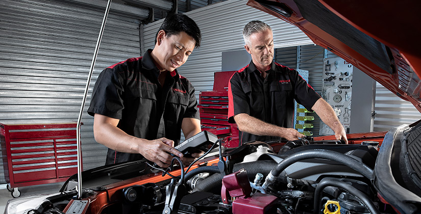 Two experienced technicians