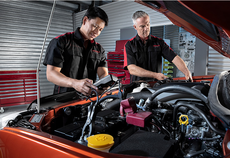 Two experienced technicians